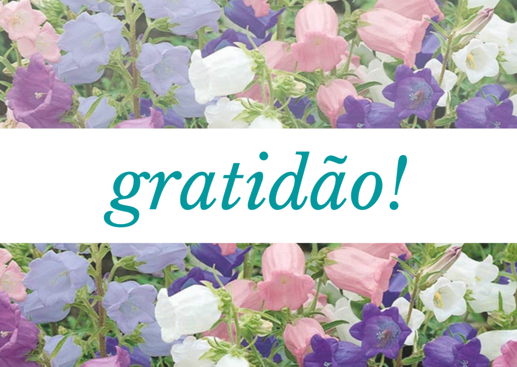 gratidão